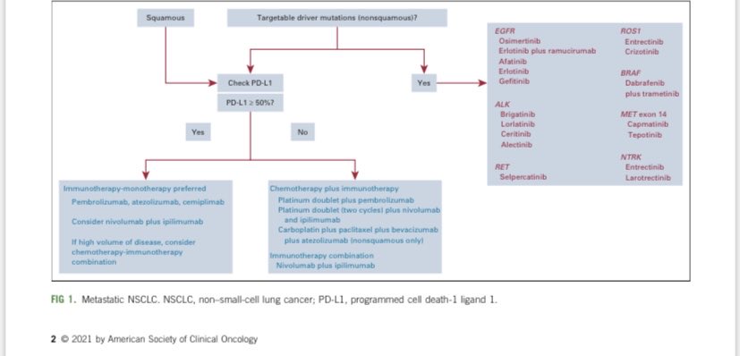 Jame Abraham, MD, FACP (@jamecancerdoc) on Twitter photo ascopubs.org/doi/pdf/10.120… Excellent article by <a href="/RamalingamMD/">Suresh S. Ramalingam, MD, FASCO</a> on immunotherapy for non small cell lung cancer <a href="/ASCO_pubs/">ASCO Publications</a> <a href="/OncoAlert/">OncoAlert</a> ascopubs.org/doi/pdf/10.120… Excellent article by <a href="/RamalingamMD/">Suresh S. Ramalingam, MD, FASCO</a> on immunotherapy for non small cell lung cancer <a href="/ASCO_pubs/">ASCO Publications</a> <a href="/OncoAlert/">OncoAlert</a>