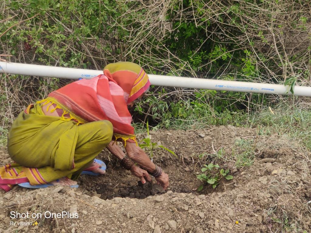 chinukofficial's tweet photo. This project is very emotional for me and it was going on since last 15 days...

I always wanted to do something for farmers and here I tried my bit.

The knowledge of drip irrigation given in school is used Today.

#MajhiVasundhara https://t.co/W3fiZ6oNCx