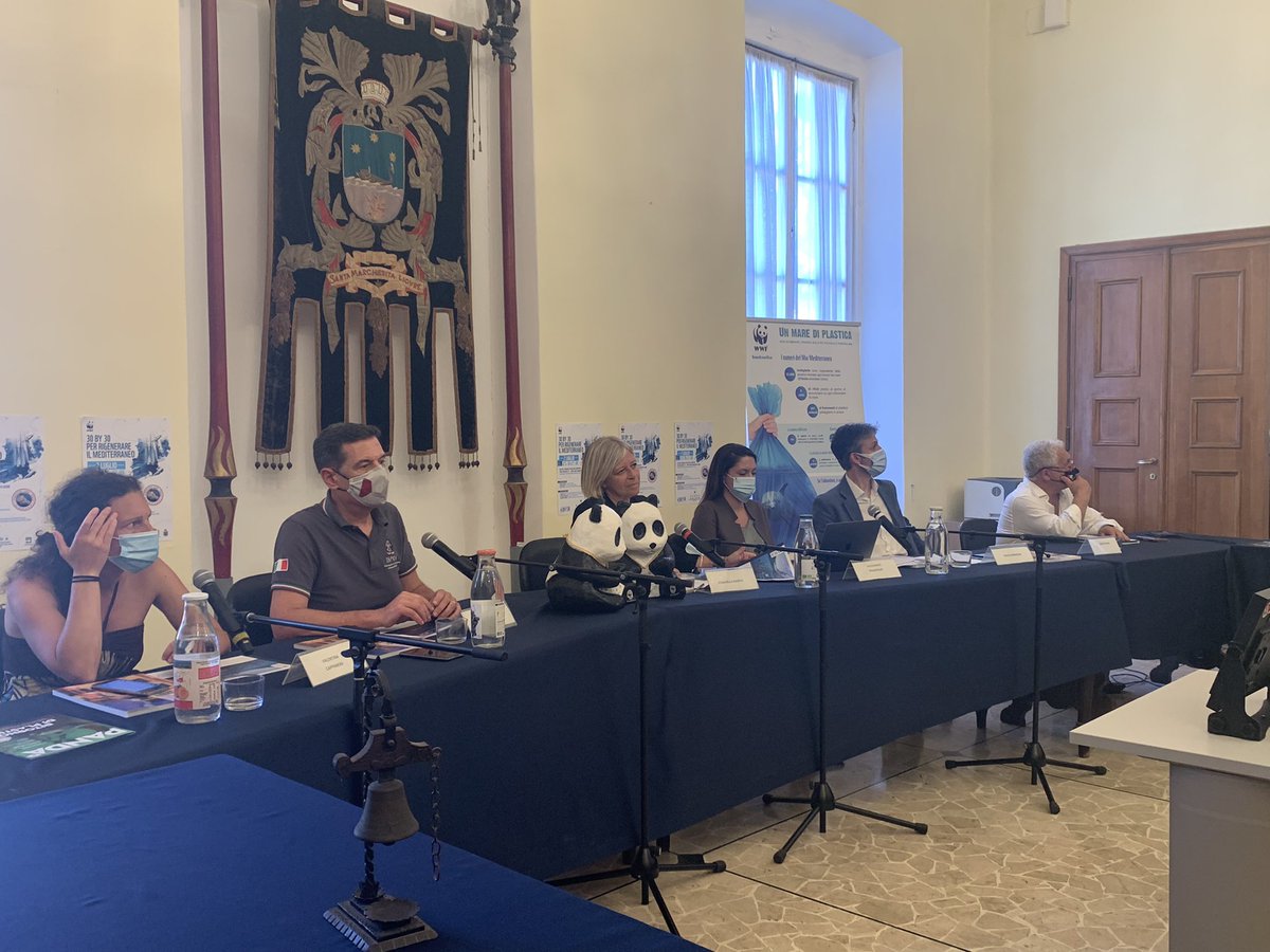 🔴 Ora #live sulla pagina #Facebook di @WWFitalia dalla sala Consiliare di Santa Margherita Ligure insieme al @MiTE_IT @ISPRA_Press @Amp_Portofino 👉🏼 fb.watch/6uQl1EkSL6/