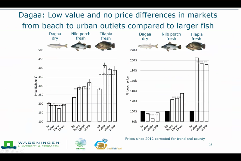 @MAREcentre @SmallFishFood @DriedFishUM Research from @SmallFishFood presented by @JeppeKolding