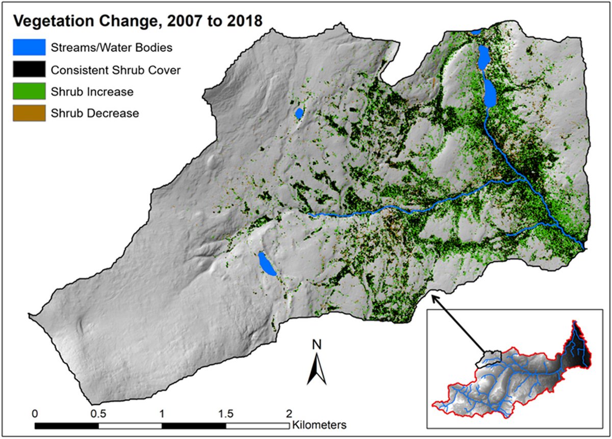 Sean Leipe (@seanleipe) on Twitter photo Very excited to share my first ever publication with <a href="/Mac_Watershed/">Sean Carey</a>! Check out how we used repeat airborne #LiDAR to quantify how shrub expansion varies within the #wolfcreekresearchbasin, #openaccess at: doi.org/10.1088/2515-7… Very excited to share my first ever publication with <a href="/Mac_Watershed/">Sean Carey</a>! Check out how we used repeat airborne #LiDAR to quantify how shrub expansion varies within the #wolfcreekresearchbasin, #openaccess at: doi.org/10.1088/2515-7…