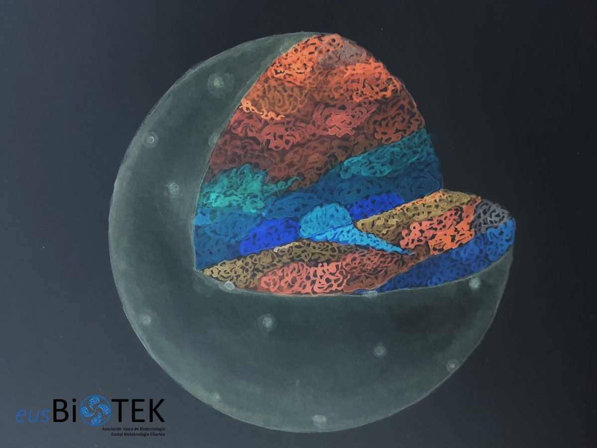 eusBIOTEK's tweet photo. 📢📢Como cada viernes, os traemos una nueva obra participante de nuestro #SketchingScience:
🎨Obra: Inguruak osatzen gaitu
👩🔬Autora: Idoia Meaza Isusi (Instagram: idoiameaza) https://t.co/rAfkM2UdwB