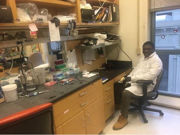 MUIIplus tweet media