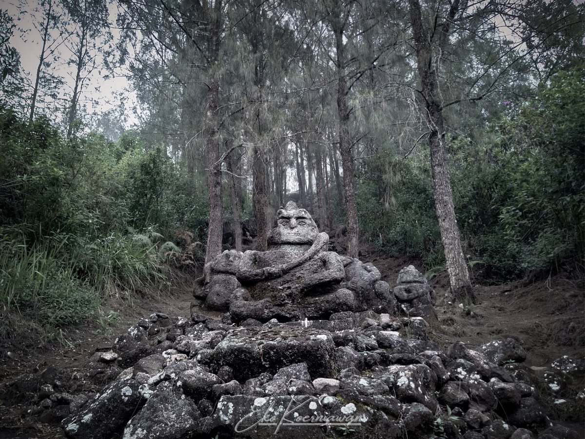 echooche's tweet photo. Jalur paling panjang dan syahdu di antara empat jalur resmi pendakian gunung Arjuno. Sepanjang perjalanan kita akan melewati situs peninggalan sejarah berupa candi, sendang maupun petilasan. Ketersediaan air terakhir di pos 5 Makutoromo.

#Arjuno https://t.co/QHZeXFfJ9S