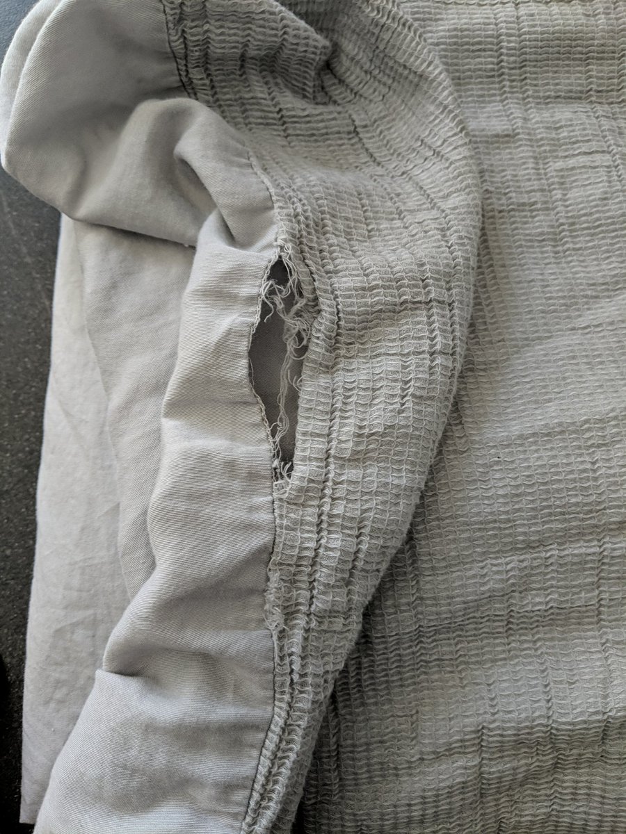 Alison Burrows tweet media