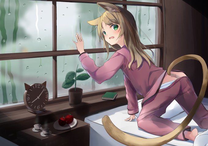 雨なので散歩が中止になったけもみみ😰 