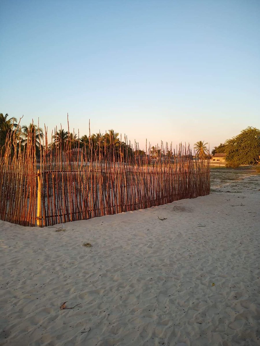 DryForestBaobab's tweet photo. Belo sur Mer, le premier camp Baobab commence à prendre forme. Et c'est grâce à vous 🙏
#dryforest #savebaobabs #baobase https://t.co/T9XVpvWhbu