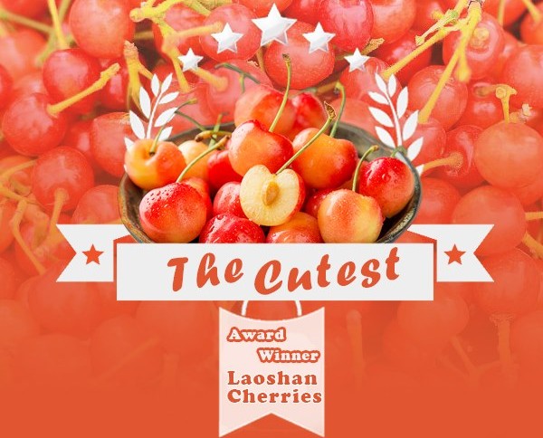 iShandong's tweet photo. #Shandong is one of the world’s main cherry-growing regions and one variety holds the title of “#CherryQueen” –– which one is it? Check out the juicy photos below to learn more! 🍒😋 #ShandongCuisine https://t.co/GtqKADB3gz