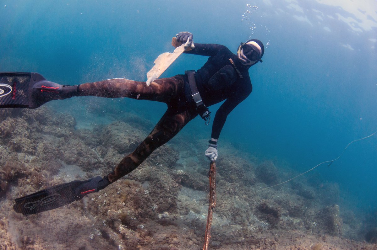 WWFitalia's tweet photo. Sabato #3luglio torna #Spazzapnea la gara di "pesca" che premia chi raccoglie il miglior bottino di #rifiuti sommersi, organizzata da #Apnea center, AMP #Portofino #WWF Sub #BluePandaWeek #GenerAzioneMare https://t.co/ZZtPtUjAS9
