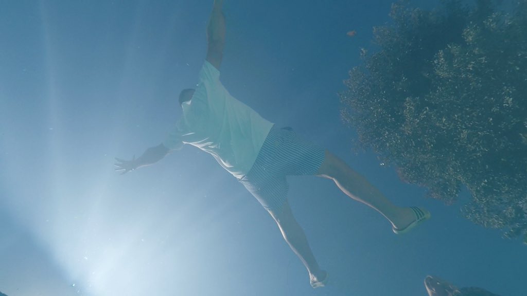 TrippinGuilt's tweet photo. Official Music Video - 6pm Tonight 

https://t.co/ySY251IiNY https://t.co/UUJDh3seSU