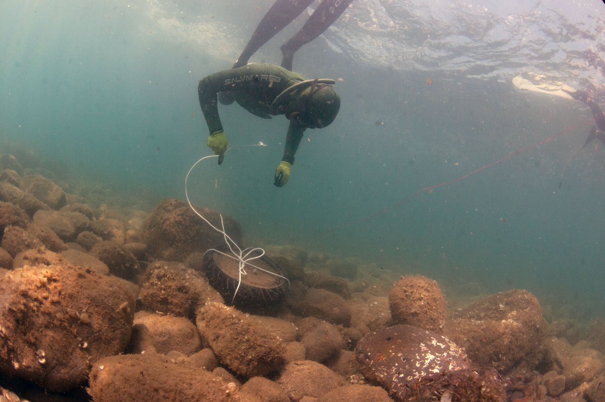 WWFitalia's tweet photo. Sabato #3luglio torna #Spazzapnea la gara di "pesca" che premia chi raccoglie il miglior bottino di #rifiuti sommersi, organizzata da #Apnea center, AMP #Portofino #WWF Sub #BluePandaWeek #GenerAzioneMare https://t.co/ZZtPtUjAS9