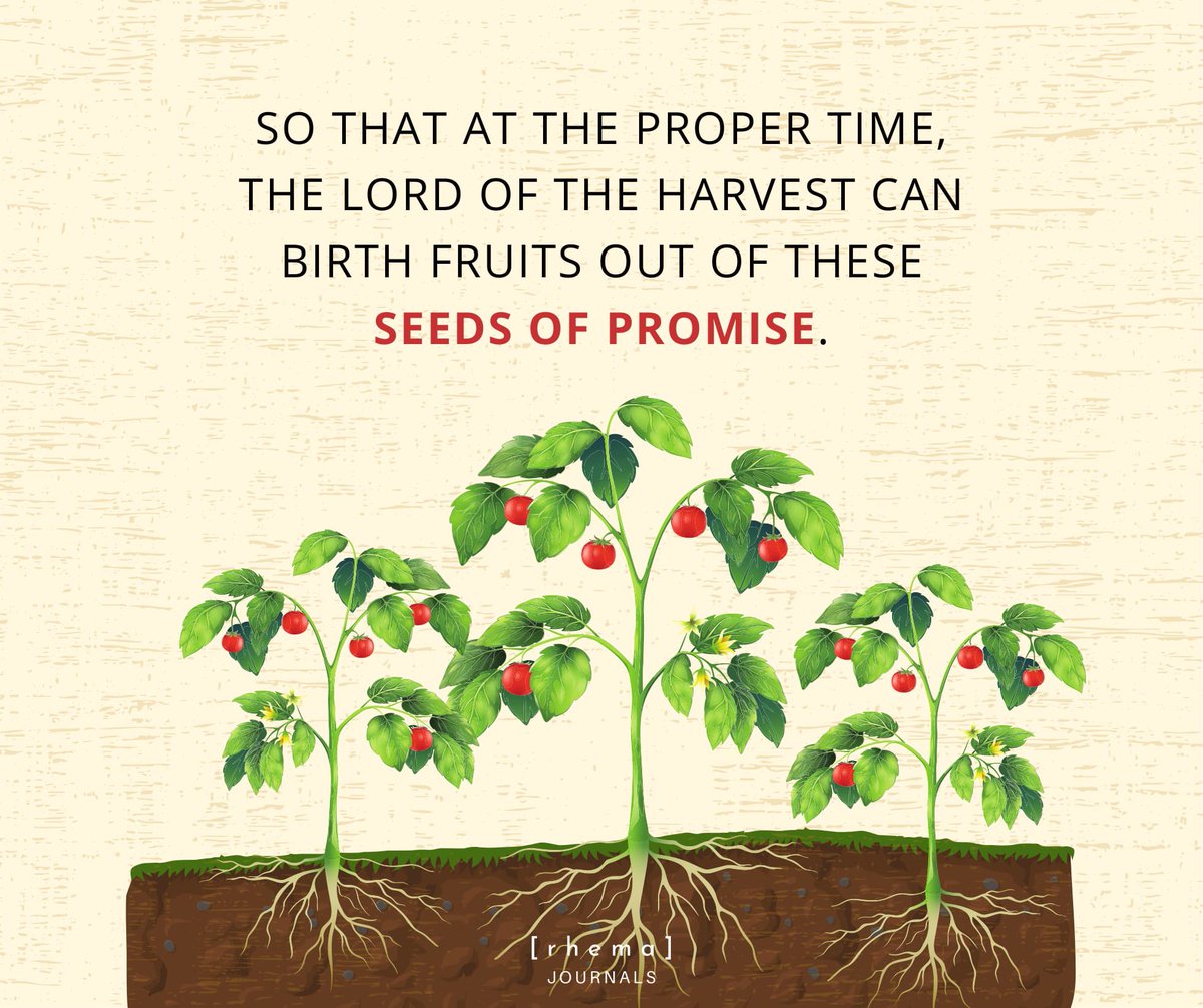 SEEDS OF PROMISE

rhemajournals.com