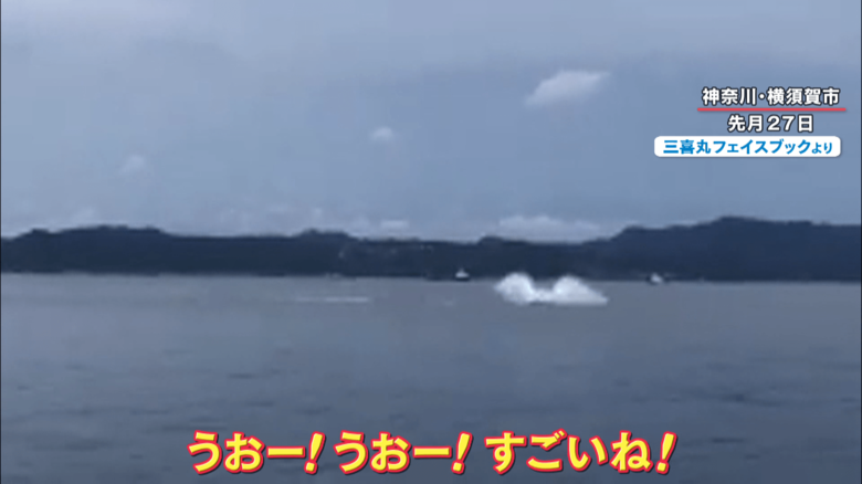 海のギャング