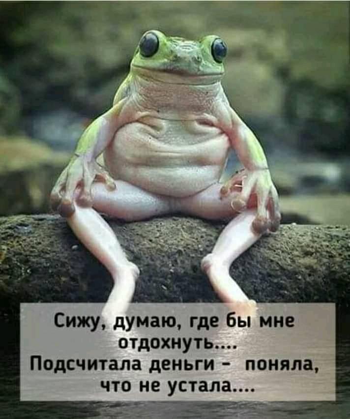 Ирина tweet media
