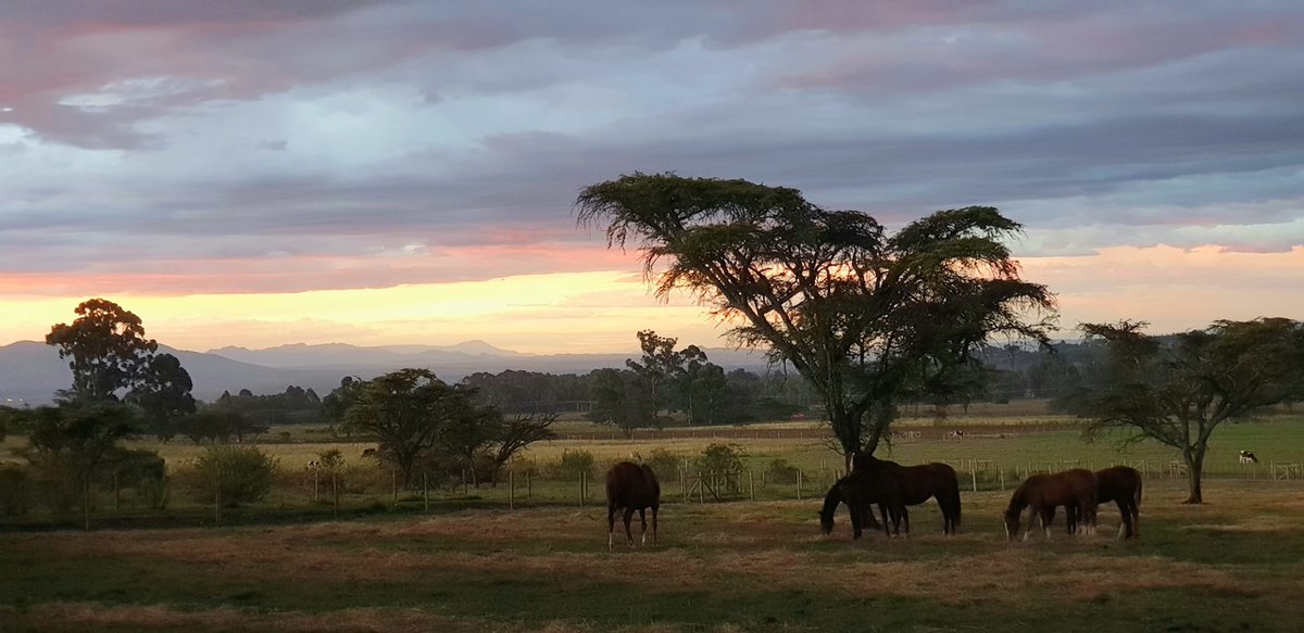 XpatLinkkenya's tweet photo. To Let - Longview House

✅Located on a beautiful 800 acre highland farm near Nakuru we have a 3 bedroom house set in its own 1 acre garden for rent 

#tolet #buyrentkenya #realestate #PhantomX #MatiangiRegrets #BBIAppealHearing https://t.co/zwHh3wWyeJ
