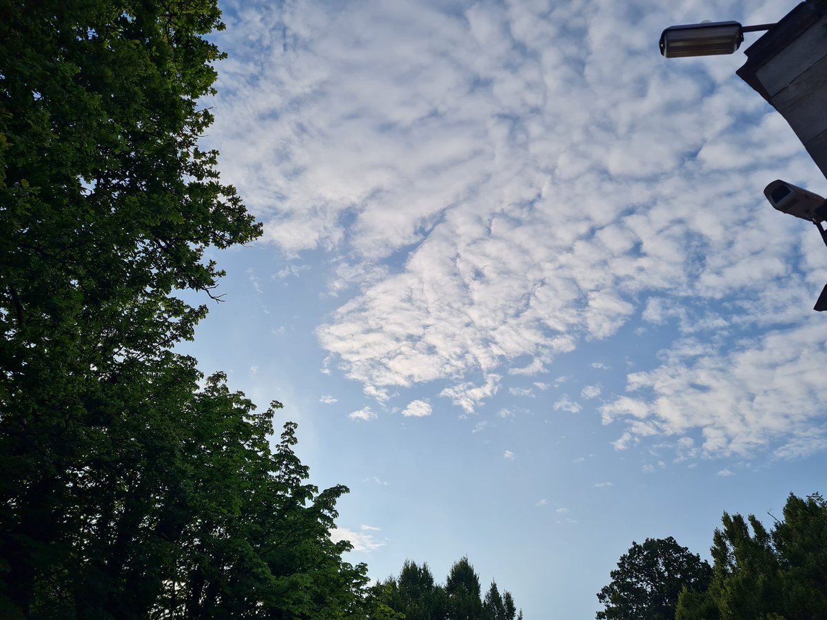 LadyVee49's tweet image. Forgot to post this yesterday! Goal Pace Repeats. Not nice! I&apos;m kinda getting used to these evening runs though. Happy Thursday y&apos;all 😘
#lockdownrun #day176 #ukrunchat