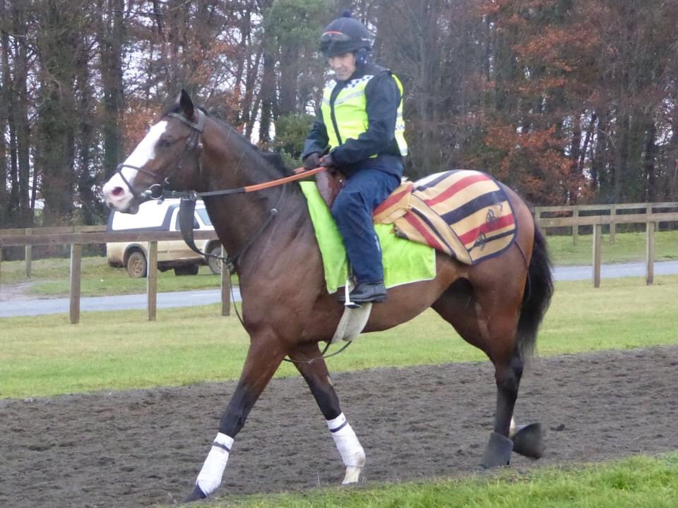 CobboldKeith's tweet photo. Our handsome boy Longsider runs in the Old Newton Cup @haydockraces tomorrow afternoon, and @Luke_Morris88 rides.
Fingers crossed for a good run, with coming home safe the priority!
Thanks to @HeathHouseNkt and @MprUpdates .
#teamsmp https://t.co/MhQ620c0c8