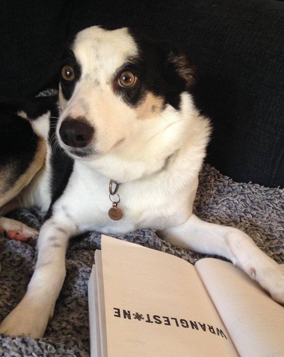 Congratulations to <a href="/DarrenRCharlton/">Darren Charlton</a> for winning the <a href="/Waterstones/">Waterstones</a> Children’s Book Prize, Best Book for Older Readers for #Wranglestone. Earlier this year Darren recorded a very special interview for us ow.ly/ME7g50FnpWi