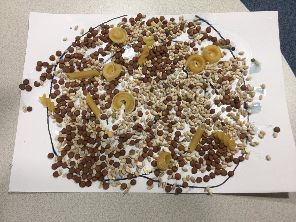 SJCEPSHereford's tweet photo. Busy Thrive sessions this week included; emotion faces using plasticine and beads, play doh fun, sand tray play and pasta/lentil pictures! @Thriveapproach.com #letshelpeverychild #wellbeingthroughthearts #embracingThrive https://t.co/X86xGGwqgl