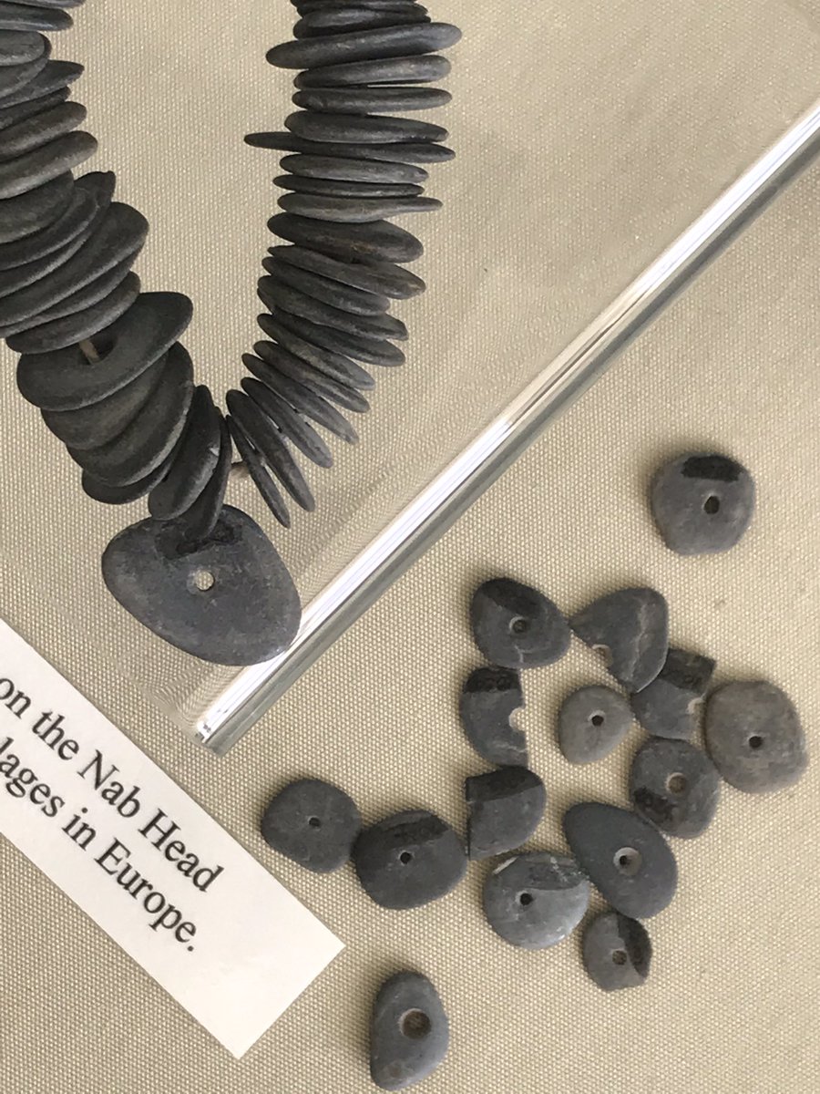 #FindsFriday These beautiful shale beads were excavated from The Nab Head Mesolithic settlement on the Pembrokeshire coast. Over 700 we’re found in total.