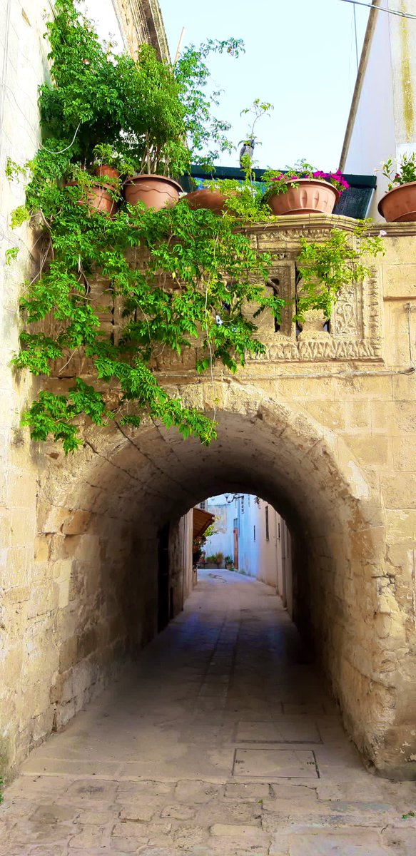 nemoingiro's tweet photo. E voi, la conoscete #Maruggio?!?
Be’ scopritela qui https://t.co/IAs9aqzZ4W
C’è anche un po’ di Verona 😉!

#nemoingiro #puglia
@BorghiPiuBelli @lonelyplanet_it @RegionePuglia https://t.co/sqEvXcejgg