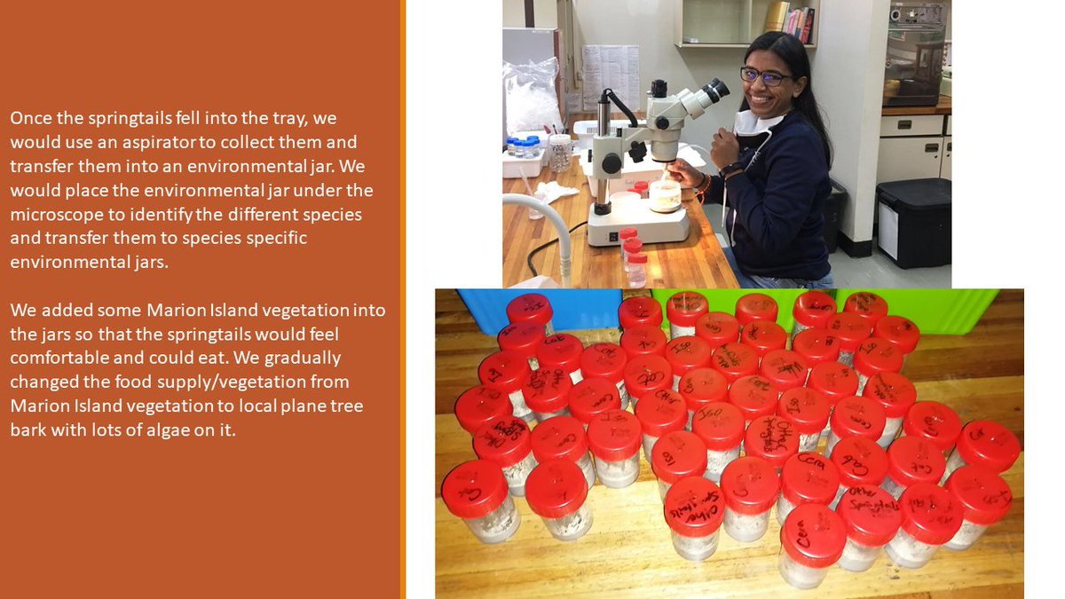 UJ Zoology tweet media