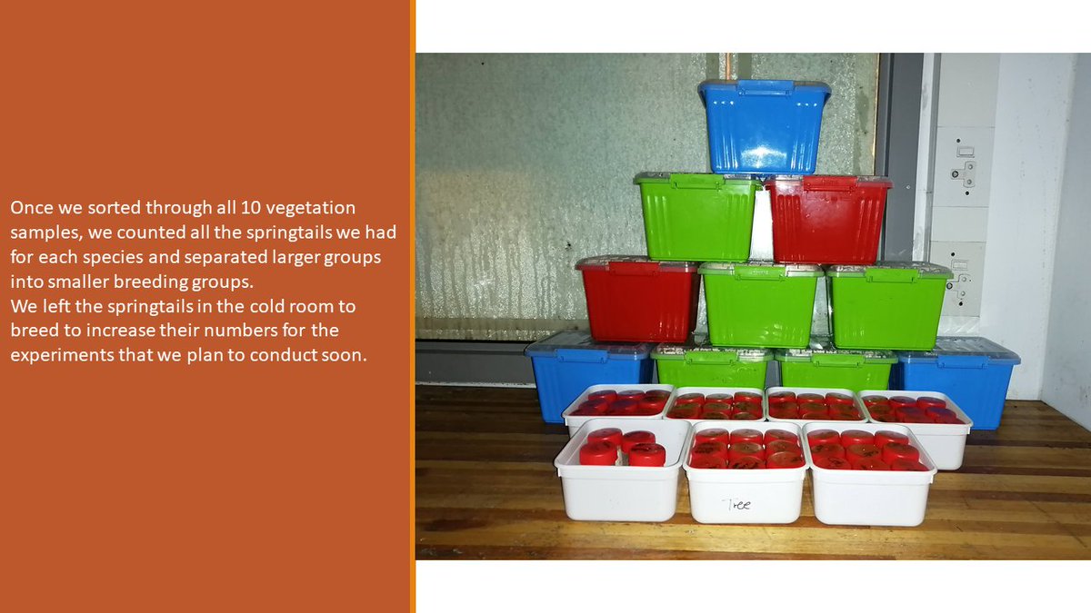 UJ Zoology tweet media