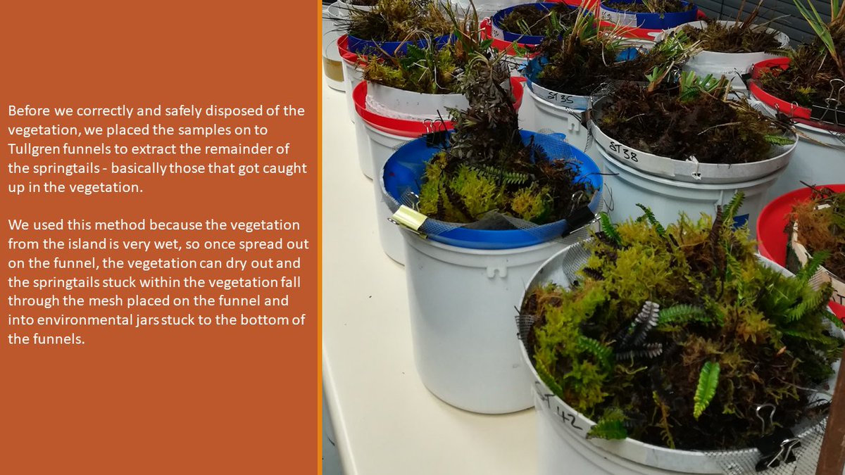 UJ Zoology tweet media