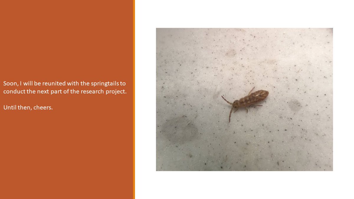 UJ Zoology tweet media