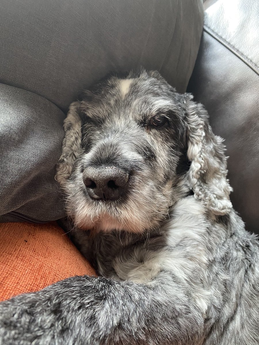 abbi 🪩🌙⭐️ tweet media