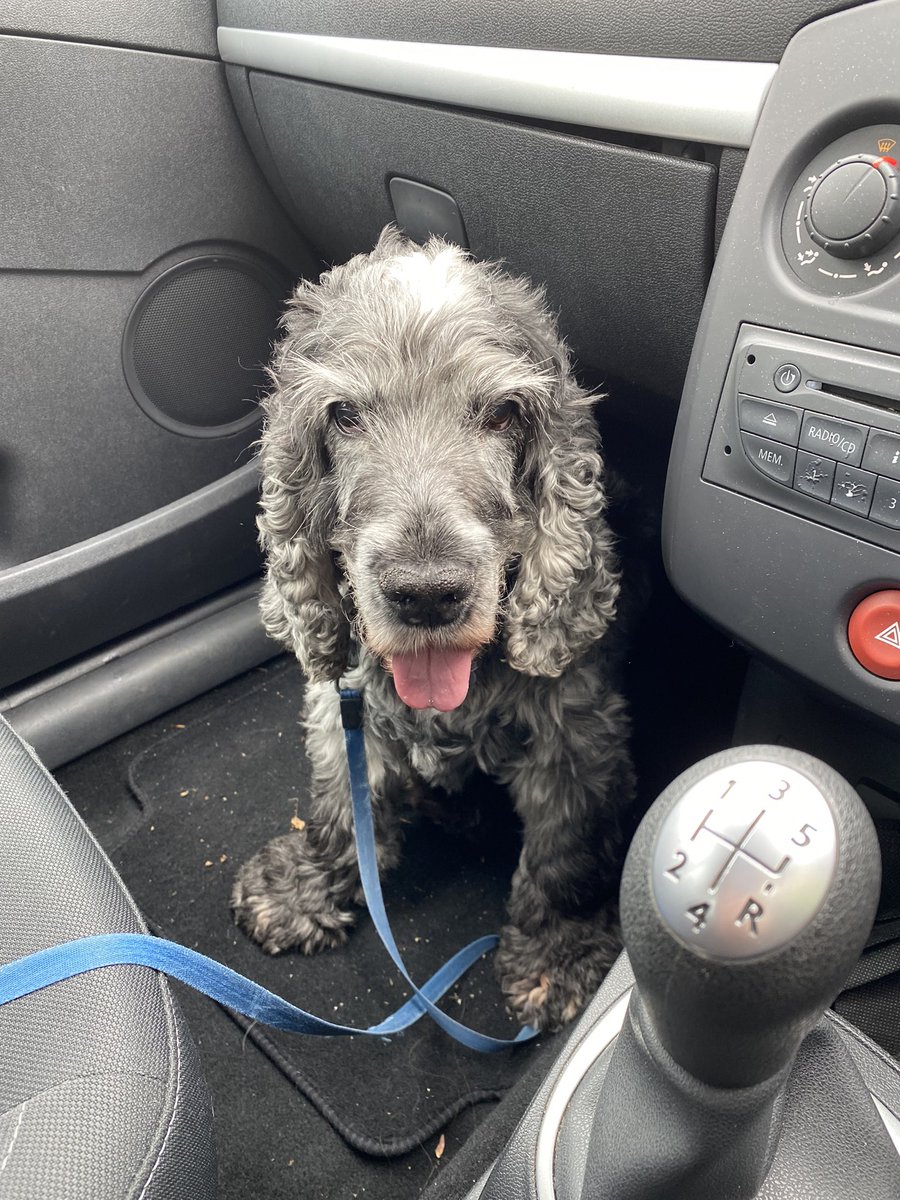 abbi 🪩🌙⭐️ tweet media