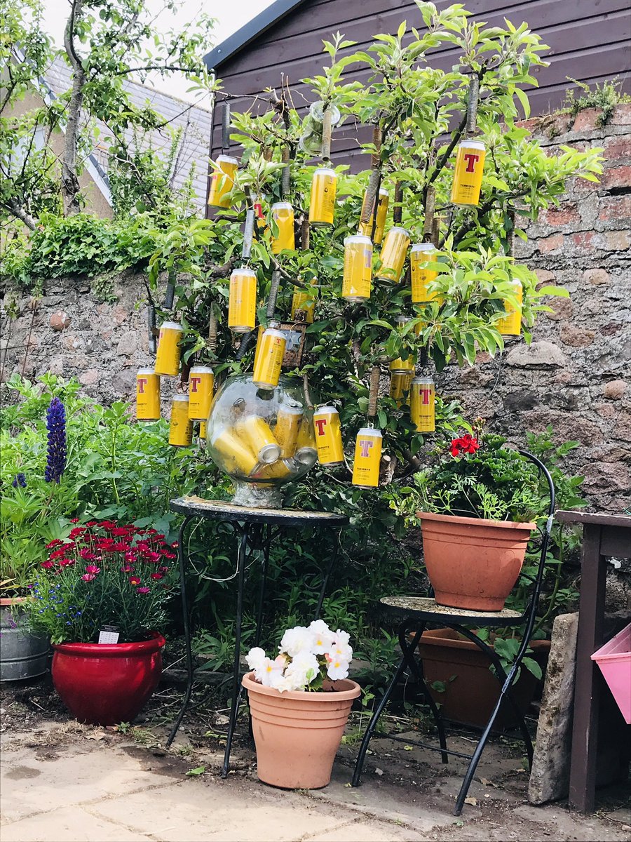 Charles Gall tweet media