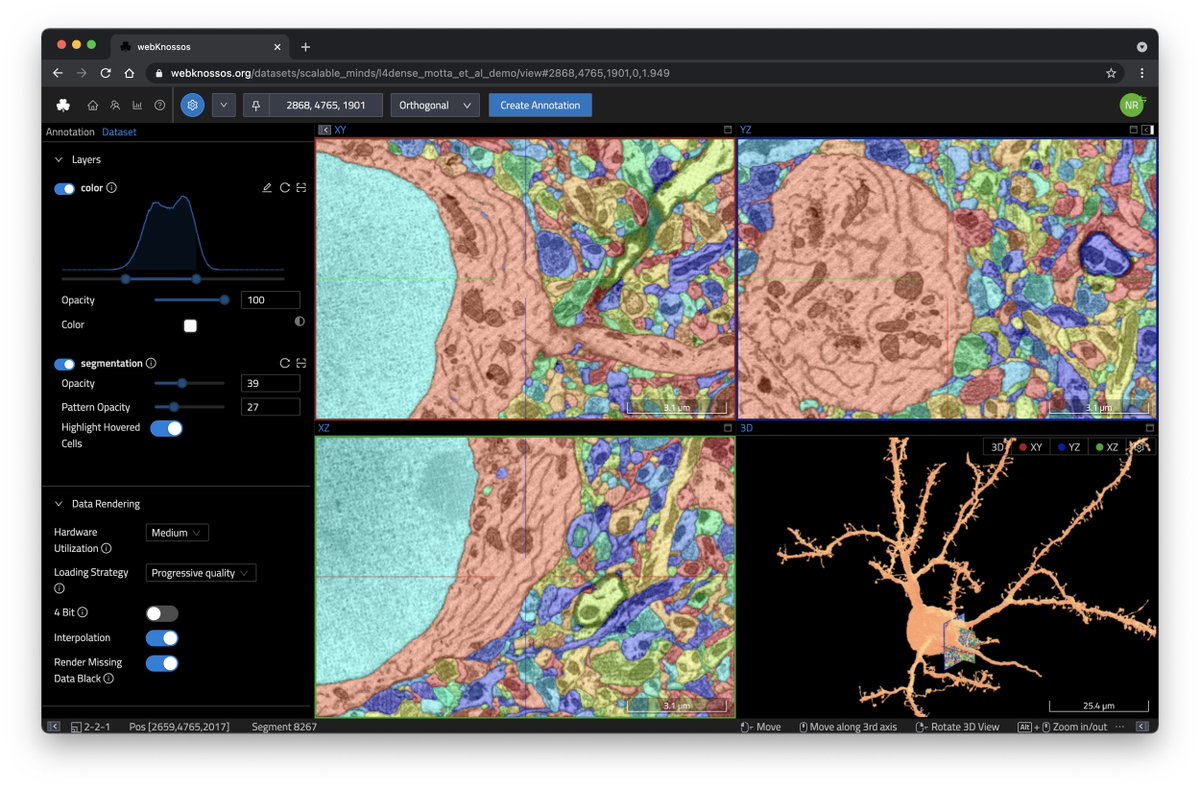 I'm excited to speak about <a href="/webknossos/">WEBKNOSSOS</a> at the <a href="/PSB_Grenoble/">Partnership for Structural Biology</a> symposium later today! Learn how webKnossos facilitates large-scale automated reconstruction projects. #PSBSymp21