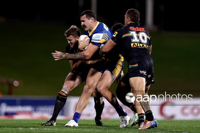 Pix: NRL Panthers Eels https://t.co/PcwMsU4AY6 https://t.co/D20qB4lxza