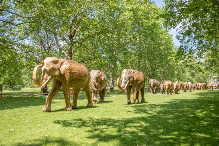 It’s <a href="/london_climate/">London Climate Action Week</a> Action Week and so we visited the Royal Park <a href="/CoExistence_UK/">CoExistence.Story</a> elephant art exhibition. The six-week exhibition aims to help educate the public on the ways in which humans can better protect the planet’s biodiversity

#coexistenceproject #elephantsinlondon