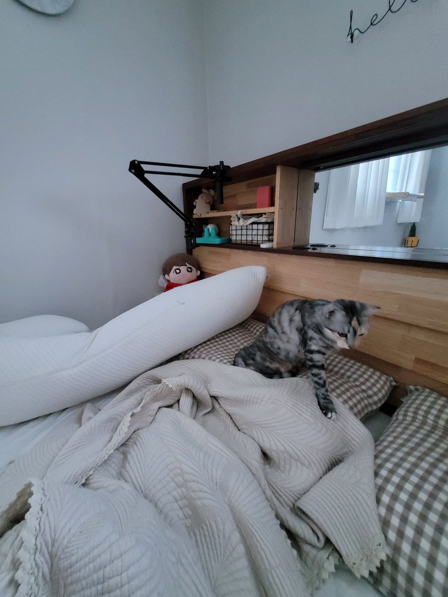 뜻밖에 잘 동거중 ㅎㅎ