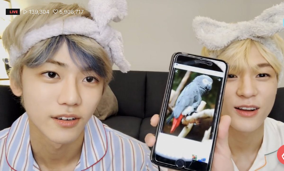 キラリ✨คุนนู๋น้องลูกเน้กโกะจัง🐈👑✨ tweet media