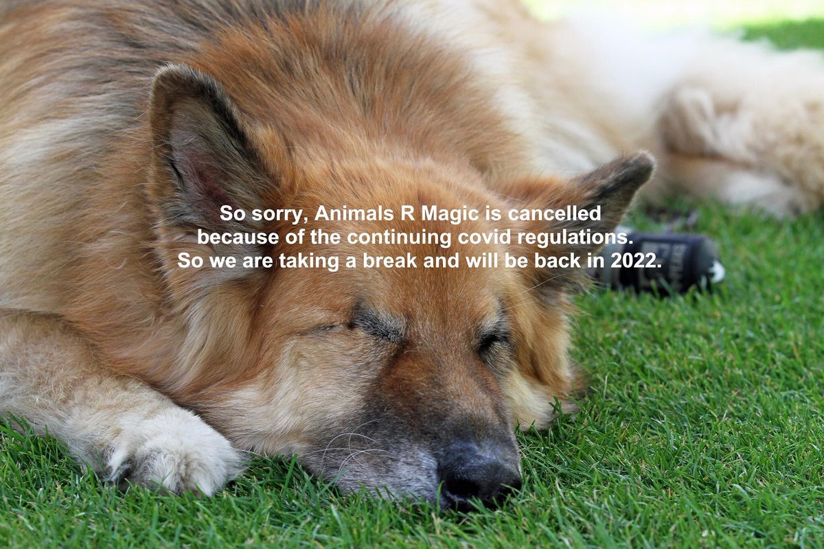 AnimalsRMagic2's tweet image. We’re so sorry to have cancelled Animals R Magic 2021. We’re taking a break and will be back in 2022!
