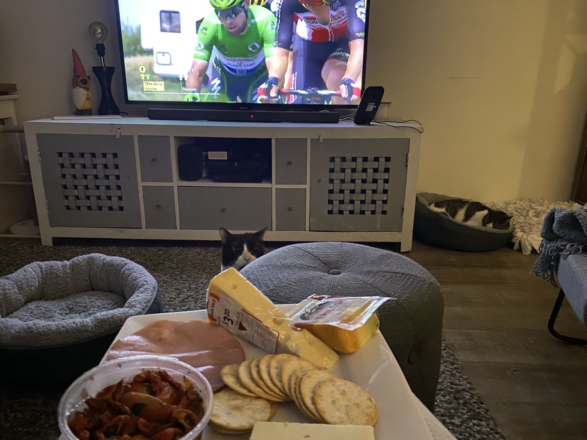 #CouchPeloton #toursnackspread #fromagefriday #tourcat Jarlesberg, Trilogy and English Cheddar… nom. I’m watching you Cooper. No cheese for you!