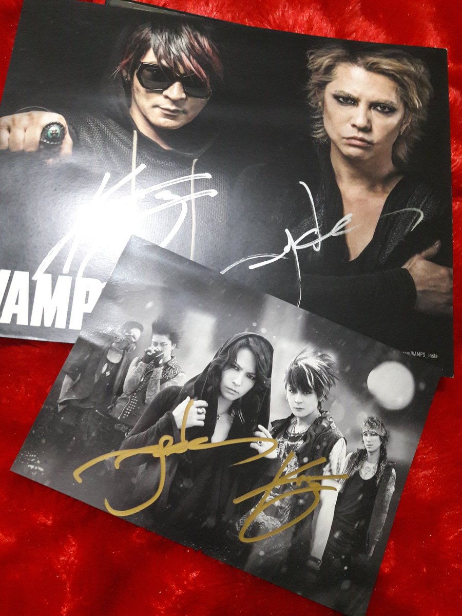 Vamps Twitter Search
