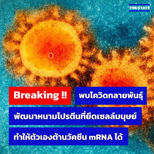 Donaldae's tweet photo. ไวรัสพัฒนาเร็วกว่าประเทศกูอีก อห https://t.co/2MO1fPPhMw