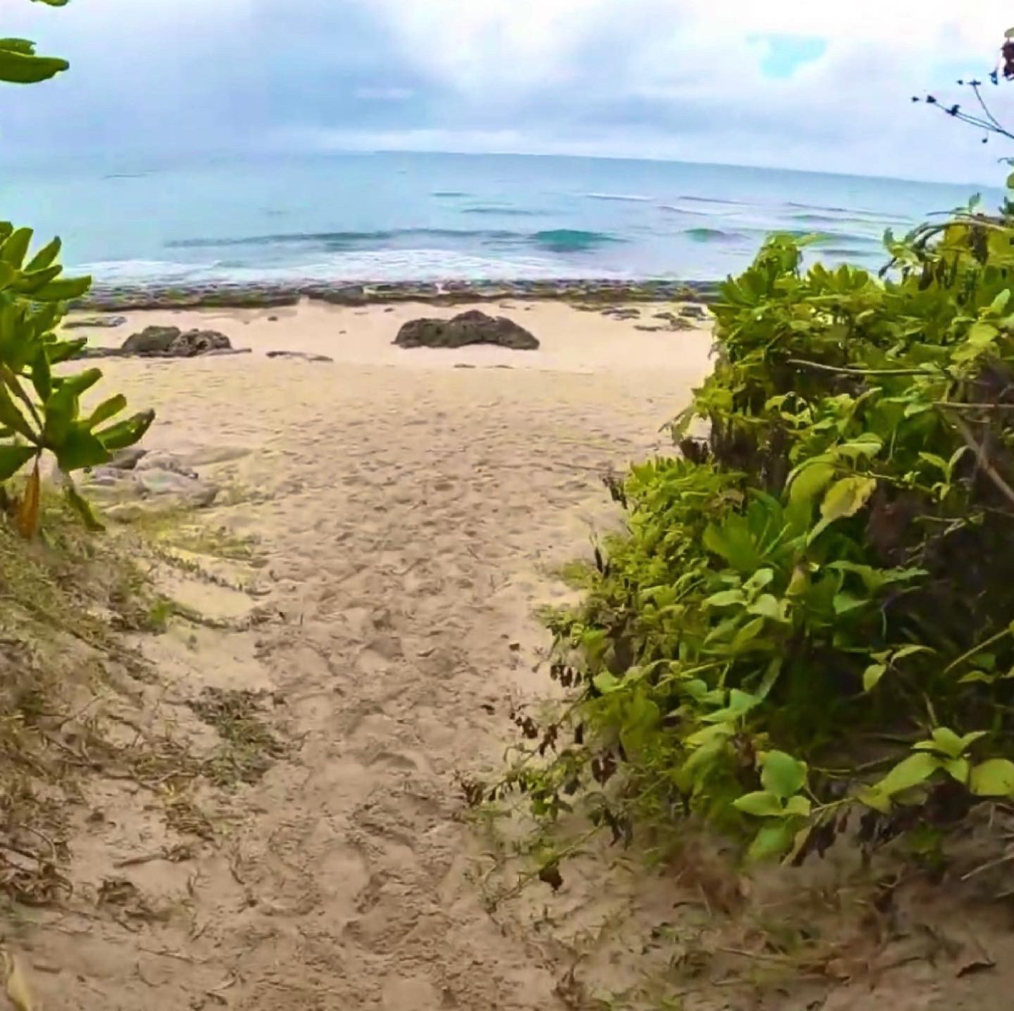 تويتر ココタックちゃんねる على تويتر 宮古島の旅vlog最終回は来間島のおすすめビーチを紹介します 来間島は人が少なくて静かなビーチがいくつかあります ムスヌンハマ 長間浜 来間港ビーチ 来間大橋を眺める展望台などを紹介しています 今回の宮古島旅行