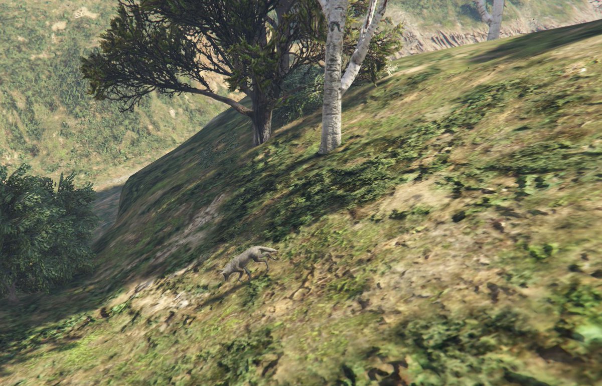 made_gta's tweet photo. Eure Fingerspitzengefühl könnt ihr übrigens auch beim Jagen verbessern. Aber seid vorsichtig, die Wildnis kann gefährlich sein. 🔫🥩🐗🦌🐈🐾👮 https://t.co/FTHeM05hKw