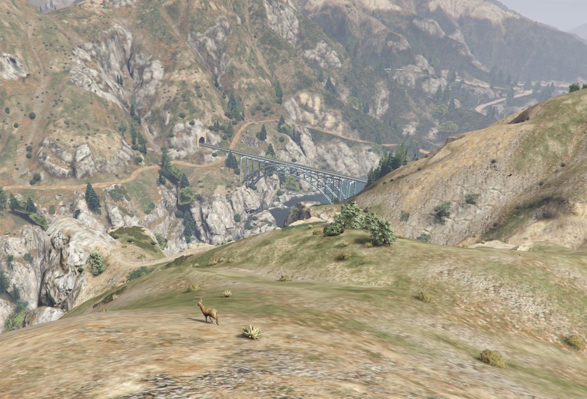 made_gta's tweet photo. Eure Fingerspitzengefühl könnt ihr übrigens auch beim Jagen verbessern. Aber seid vorsichtig, die Wildnis kann gefährlich sein. 🔫🥩🐗🦌🐈🐾👮 https://t.co/FTHeM05hKw
