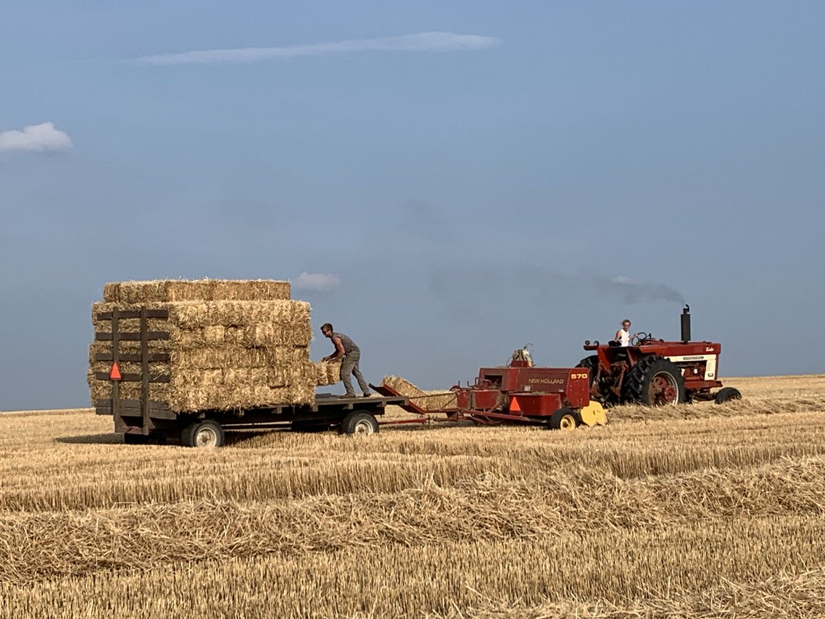 TO BE MARRIED IN 2 WEEKS. He stacked 2400 bales yesterday. Her daddy remarked, “True test of a marriage?” (I want that young man on my side when mayhem breaks out.)