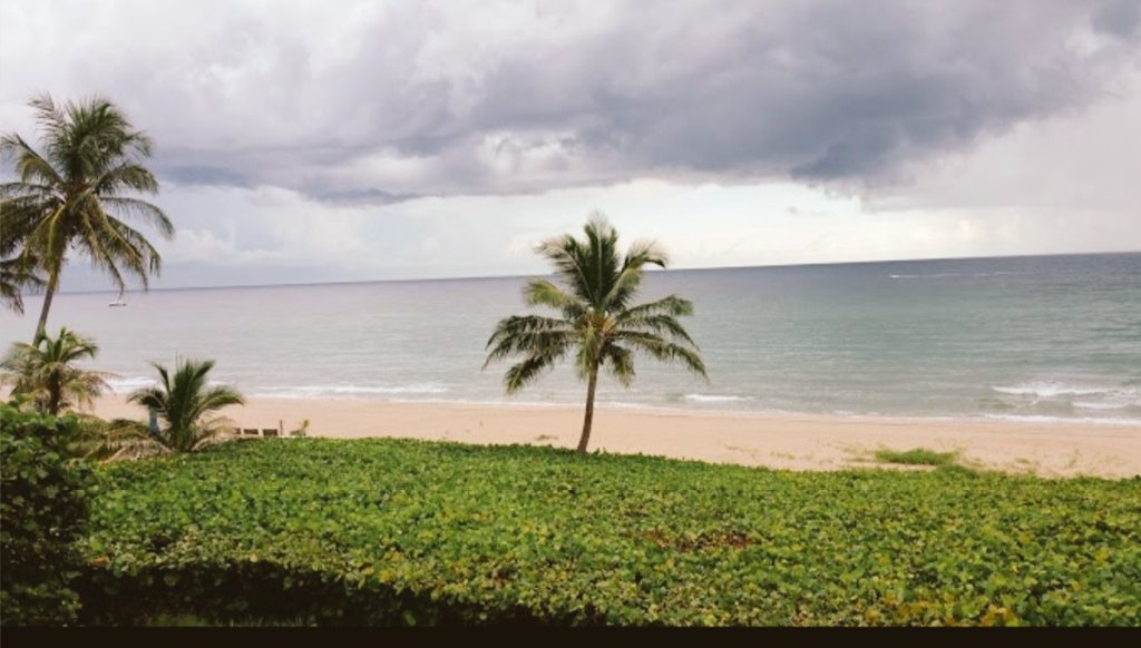 pineapple138's tweet photo. Buenos Dias desde 
Sur de La Florida, solo #75F y posibilidad de lluvia.Feliz Viernes!! https://t.co/wlmEYdNvSC