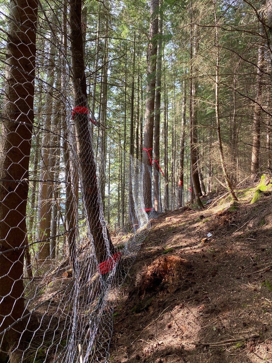 A82operations's tweet photo. 400 metres of catch fence now complete (despite a one week shut-down for COVID) and a further 200m due to be competed in next couple of weeks. Then just some anchor adjustments to do on existing rock netting before felling commences in October. https://t.co/cuqkC9s6ot