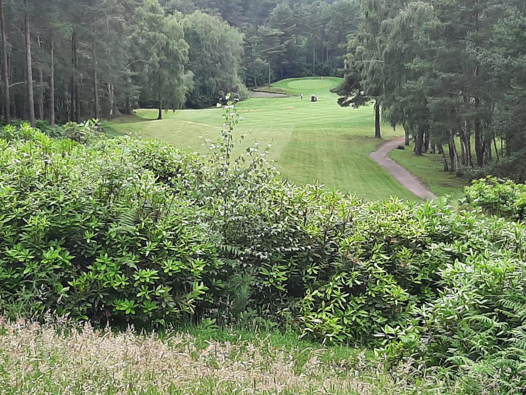 Your Golf Travel tweet media