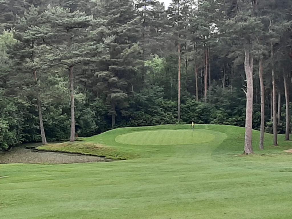 Your Golf Travel tweet media