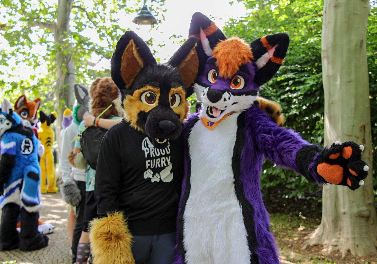 The Fox and the Hound @pesvlcak Happy #FursuitFriday @flamik01.
